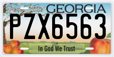 GA license plate PZX6563