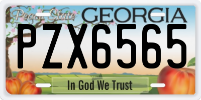 GA license plate PZX6565