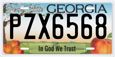 GA license plate PZX6568