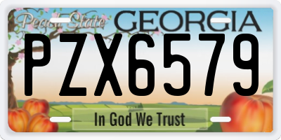 GA license plate PZX6579