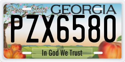 GA license plate PZX6580