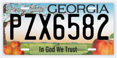 GA license plate PZX6582