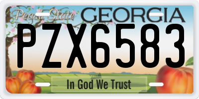 GA license plate PZX6583
