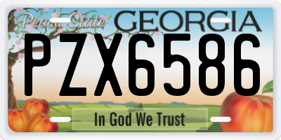 GA license plate PZX6586