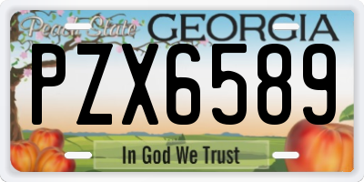 GA license plate PZX6589
