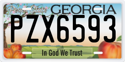 GA license plate PZX6593
