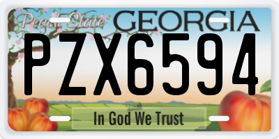 GA license plate PZX6594