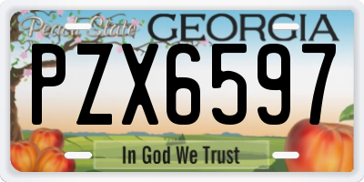 GA license plate PZX6597