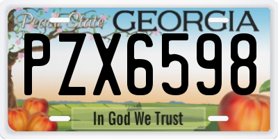 GA license plate PZX6598