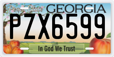 GA license plate PZX6599