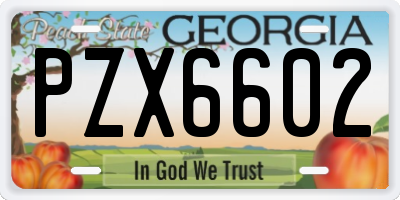 GA license plate PZX6602