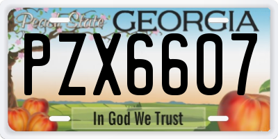 GA license plate PZX6607