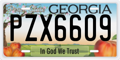 GA license plate PZX6609
