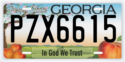 GA license plate PZX6615