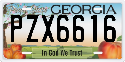 GA license plate PZX6616