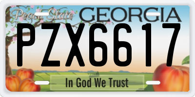 GA license plate PZX6617