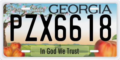 GA license plate PZX6618