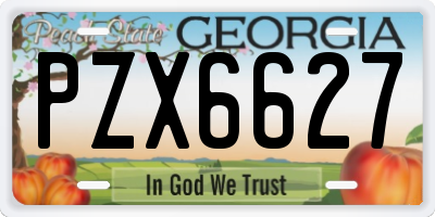 GA license plate PZX6627