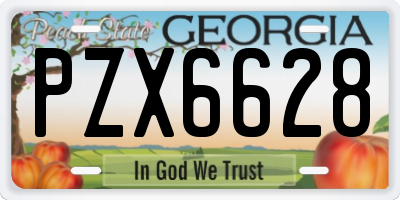 GA license plate PZX6628