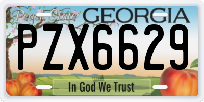 GA license plate PZX6629