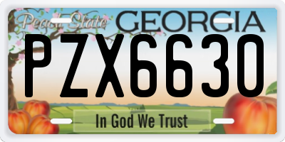 GA license plate PZX6630