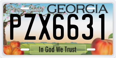 GA license plate PZX6631
