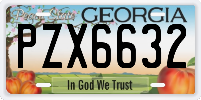 GA license plate PZX6632