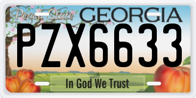 GA license plate PZX6633