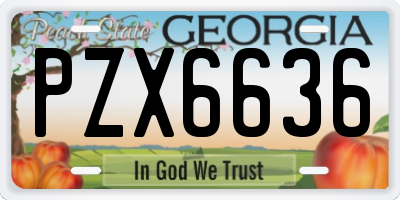 GA license plate PZX6636