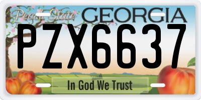 GA license plate PZX6637