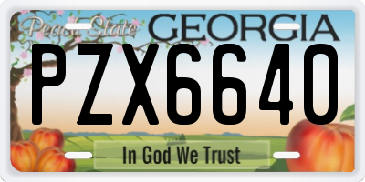 GA license plate PZX6640