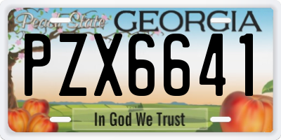 GA license plate PZX6641