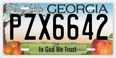GA license plate PZX6642
