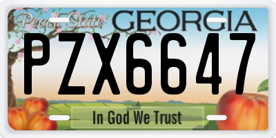 GA license plate PZX6647