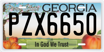 GA license plate PZX6650