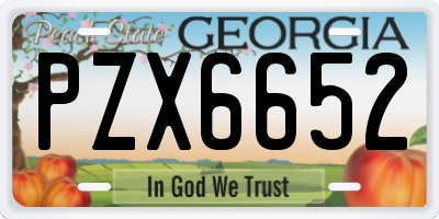 GA license plate PZX6652