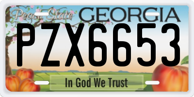 GA license plate PZX6653