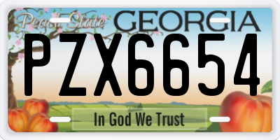 GA license plate PZX6654
