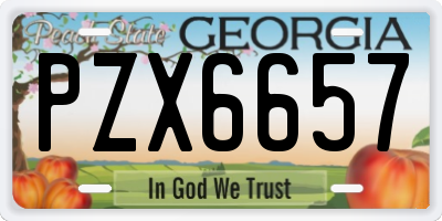 GA license plate PZX6657