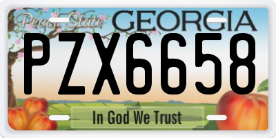 GA license plate PZX6658
