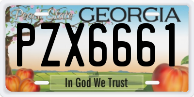 GA license plate PZX6661