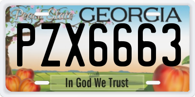 GA license plate PZX6663