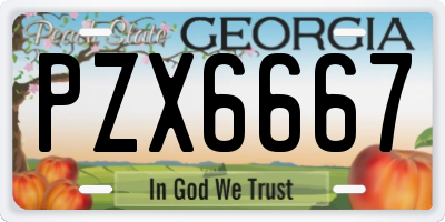 GA license plate PZX6667