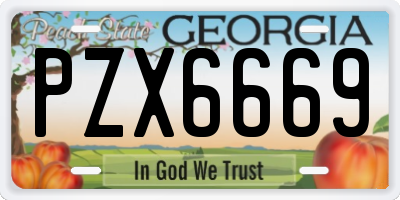 GA license plate PZX6669
