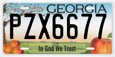 GA license plate PZX6677