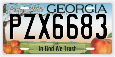 GA license plate PZX6683