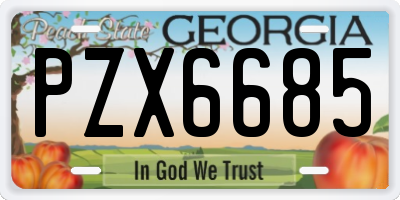 GA license plate PZX6685