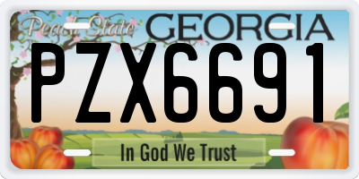 GA license plate PZX6691