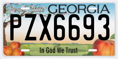 GA license plate PZX6693