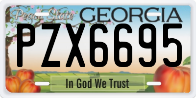 GA license plate PZX6695